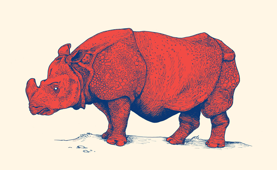 Red Rhino – Andrew Henry